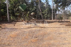 3 Land Blocks for Sale in Katunayake