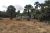 Valuable Land for Sale in Jaffna