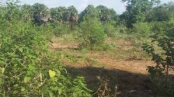 90 perch land – Kurunegala