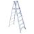 Ladder – Werner 12 ft. Reach