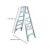 Ladder – Werner 6 ft. Aluminum Twin Step Ladder