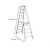 Ladder – Werner 10 ft. Aluminum Twin Step Ladder