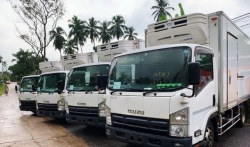 Isuzu Freezer Truck 2010