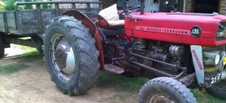 Massey Ferguson 135D Tractor