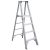 Ladder – Werner 10 ft. Reach