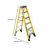Ladder – Werner 6 ft. Fiberglass