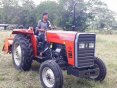 TAFE 45DI TRACTOR