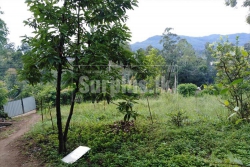 40 Perches Land for Sale in Bandarawela