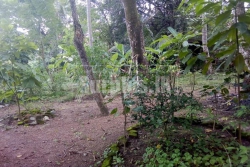 18 Perches Residential Land for Sale in Yakkala City
