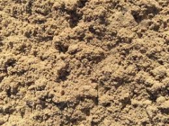 Sand