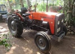 Tafe 45 Di Tractor