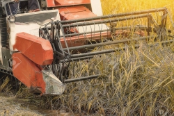 Rice Combine Harvester machine