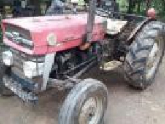 Massey Ferguson (MF-135)