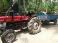 Massey Ferguson Tractor
