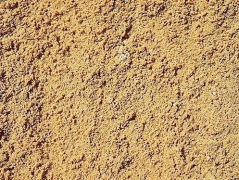 Sand