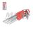 9pcs Hex Key Set