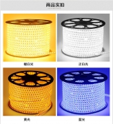 Day Light 50m Roll Strip Light
