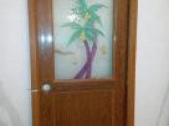 Damro plastic door
