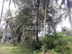 80 Perches Land for Sale in Mandawala Kirindiwela.