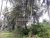 80 Perches Land for Sale in Mandawala Kirindiwela.