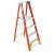 Ladder – Werner 10 ft. Reach