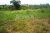 Land Block for Sale in Kadawatha