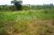 Land Block for Sale in Kadawatha