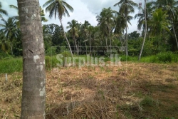 3 Lands for Sale in Thulhiriya Alawwa.
