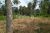 3 Lands for Sale in Thulhiriya Alawwa.