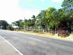 2 1/2 Acres Land for Sale in Mannar.