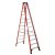 Ladder – Werner 12 ft.