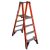 Ladder – Werner 10 ft. Reach