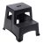 Step Stool – Gorilla Ladders 2-Step