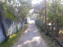 ඉඩම සමග නිවස විකිණීමට /  land with a house