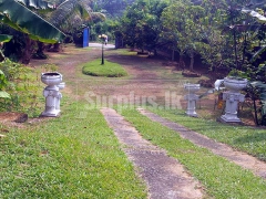 Beautiful House Property for Sale in Avissawella.