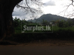 Land for sale at Gampola