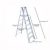 Ladder – Werner 16 ft. Reach Aluminum Platform Step Ladder