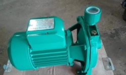 Water Pump Brand New