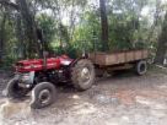 TMassey Ferguson 135 Tractor &trailer