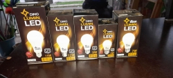 LED Day Bulb