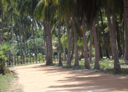 Lagoon facing Coconut Land in Kalpitiya tourist area