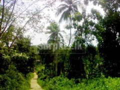 80 Perches Land in Tholangamuwa for Sale.