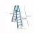 Ladder – Werner 12 ft. Reach