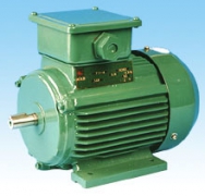3 Phase Motor