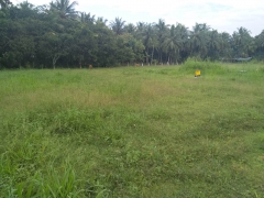 Land for Sale in – Wariyapola