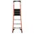 Ladder – Werner 10 ft. Reach