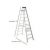 Ladder – Werner 10 ft.