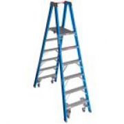 Ladder – Werner 12 ft.