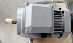 3 Phase Brand New Motor (3hp)