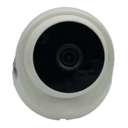 309HS 2MP DOME INDOOR CAMERA